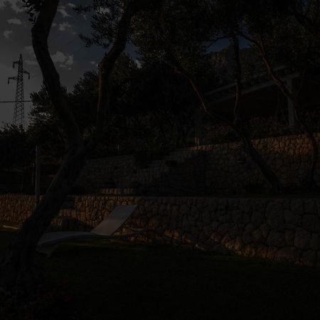 Villa Tamaris マカルスカ エクステリア 写真